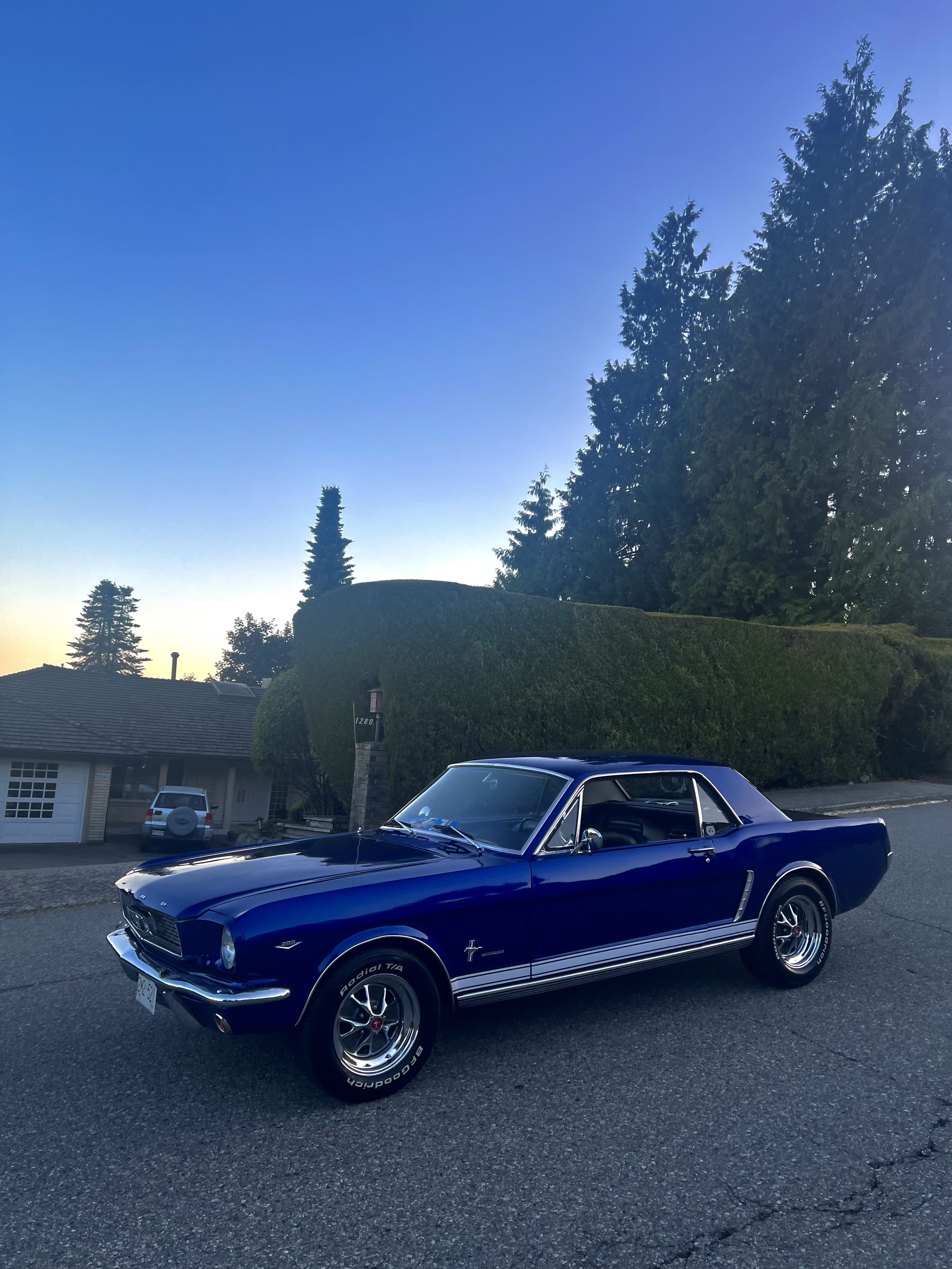 1965 Mustang another angle